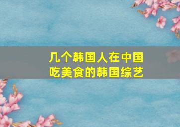 几个韩国人在中国吃美食的韩国综艺