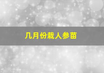 几月份栽人参苗