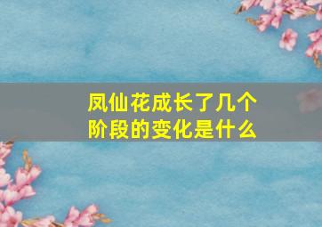 凤仙花成长了几个阶段的变化是什么