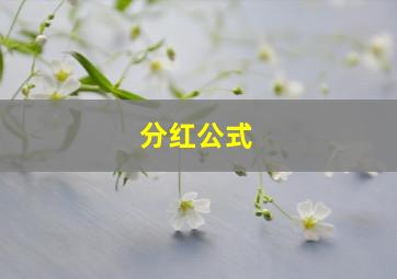 分红公式