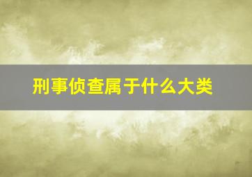 刑事侦查属于什么大类