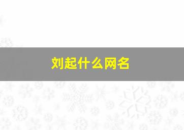 刘起什么网名