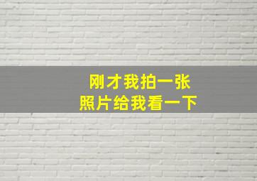 刚才我拍一张照片给我看一下