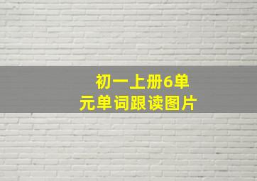 初一上册6单元单词跟读图片