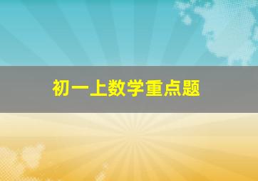 初一上数学重点题