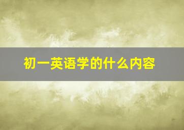 初一英语学的什么内容