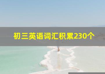 初三英语词汇积累230个