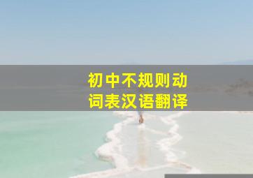 初中不规则动词表汉语翻译