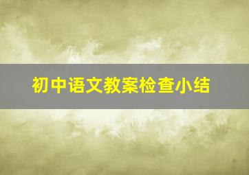 初中语文教案检查小结