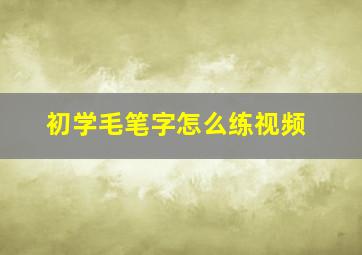 初学毛笔字怎么练视频