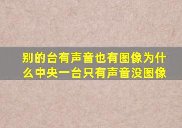 别的台有声音也有图像为什么中央一台只有声音没图像