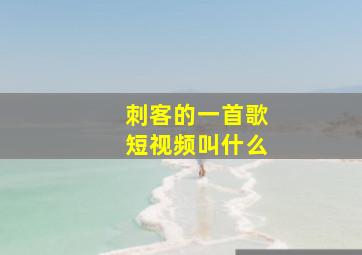 刺客的一首歌短视频叫什么