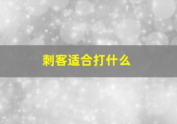 刺客适合打什么