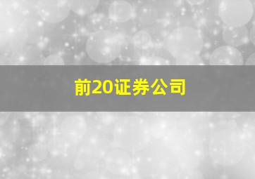 前20证券公司