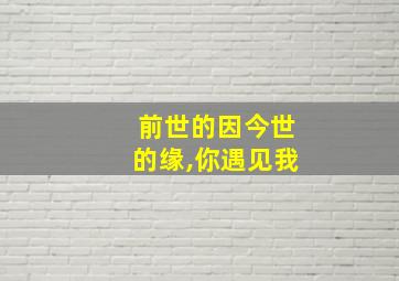 前世的因今世的缘,你遇见我