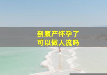 剖腹产怀孕了可以做人流吗