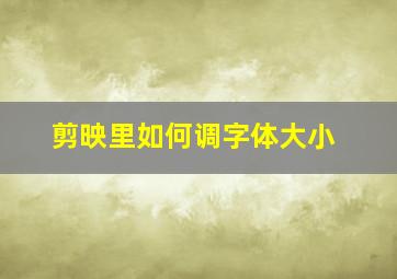 剪映里如何调字体大小