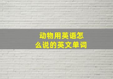 动物用英语怎么说的英文单词