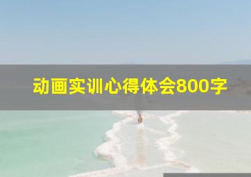 动画实训心得体会800字