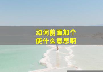 动词前面加个使什么意思啊