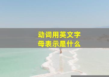 动词用英文字母表示是什么