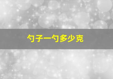 勺子一勺多少克