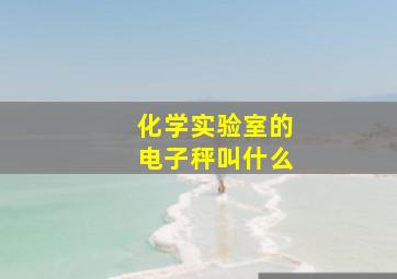 化学实验室的电子秤叫什么