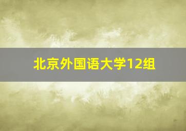 北京外国语大学12组