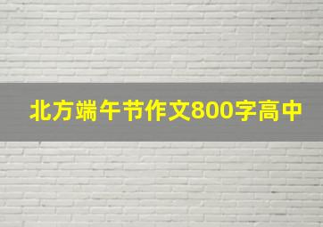 北方端午节作文800字高中