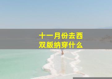 十一月份去西双版纳穿什么