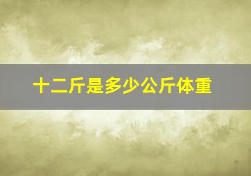 十二斤是多少公斤体重