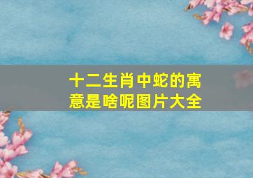 十二生肖中蛇的寓意是啥呢图片大全