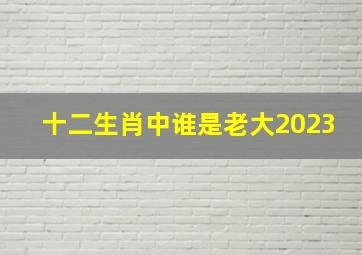 十二生肖中谁是老大2023