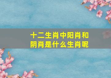 十二生肖中阳肖和阴肖是什么生肖呢