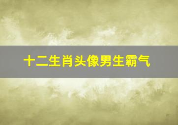 十二生肖头像男生霸气