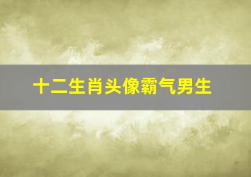 十二生肖头像霸气男生