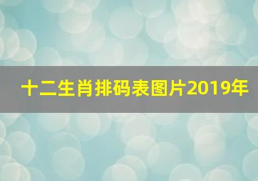 十二生肖排码表图片2019年