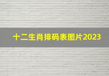 十二生肖排码表图片2023