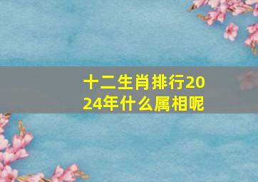 十二生肖排行2024年什么属相呢