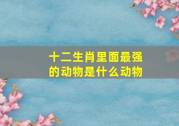 十二生肖里面最强的动物是什么动物