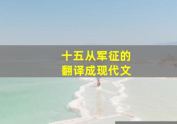 十五从军征的翻译成现代文