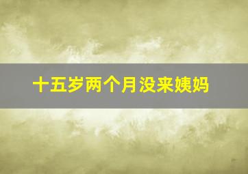 十五岁两个月没来姨妈