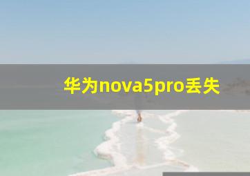 华为nova5pro丢失