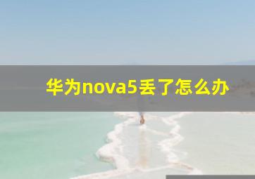 华为nova5丢了怎么办