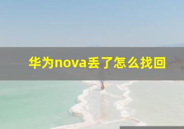 华为nova丢了怎么找回