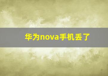 华为nova手机丢了