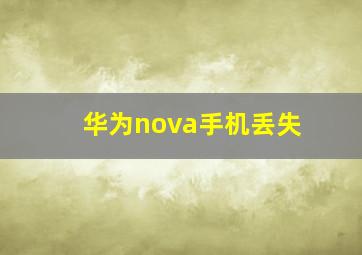 华为nova手机丢失