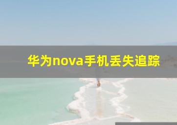 华为nova手机丢失追踪