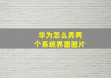 华为怎么弄两个系统界面图片