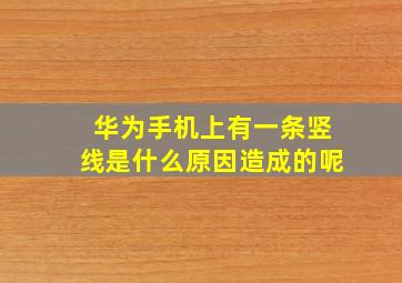 华为手机上有一条竖线是什么原因造成的呢